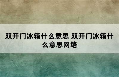 双开门冰箱什么意思 双开门冰箱什么意思网络